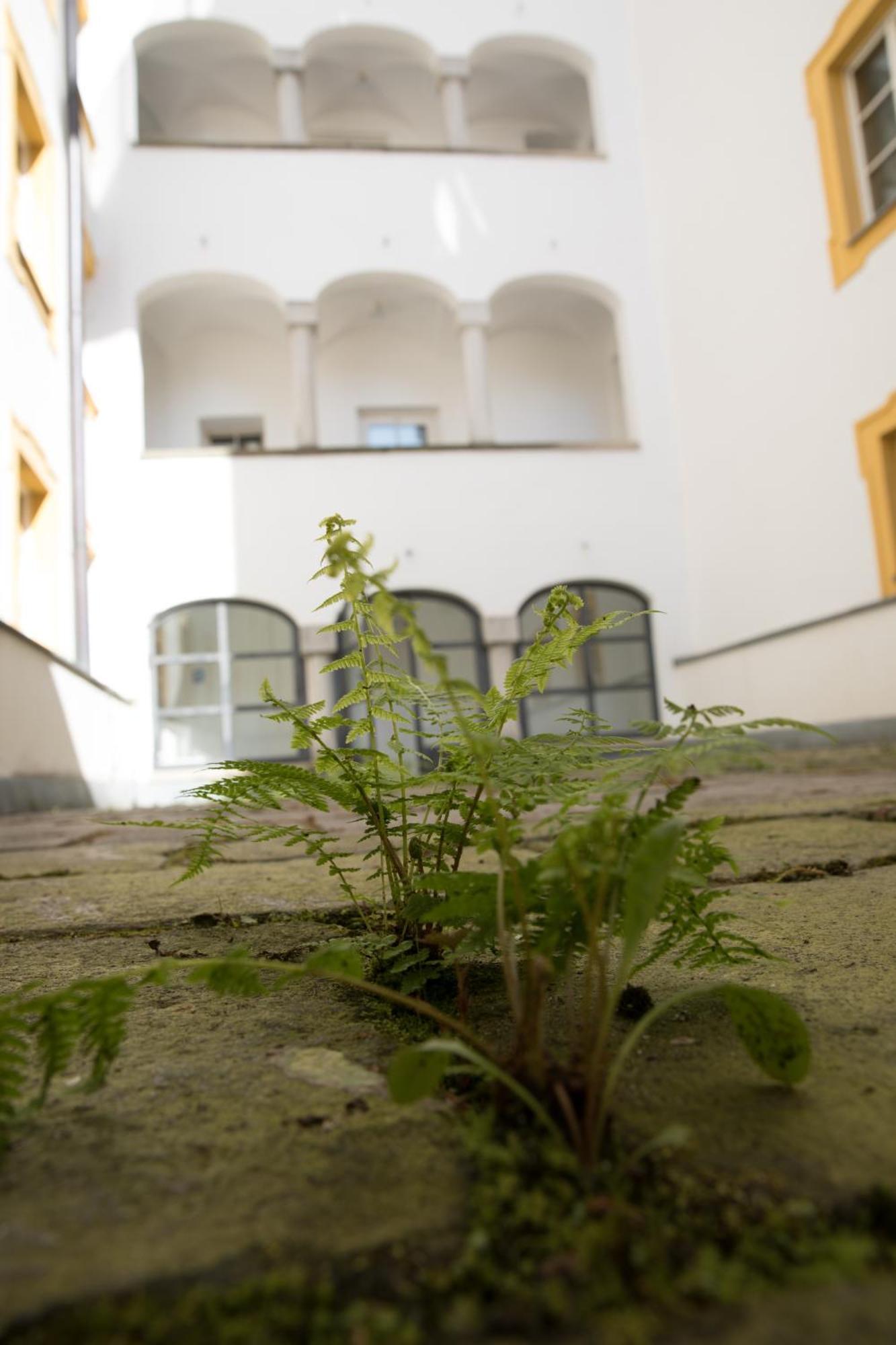 Wilder Mann Hotel Passau
